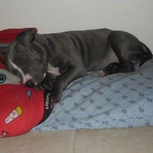 Meet your Posher, Bryan